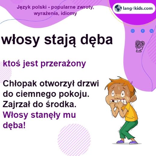 WlosyStajaDeba